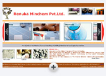 Renuka Minchem Pvt.Ltd.