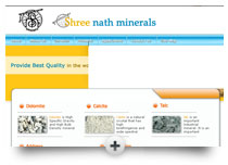 Shreenath Minerals