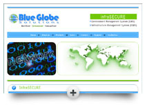 Blue Globe Solutions